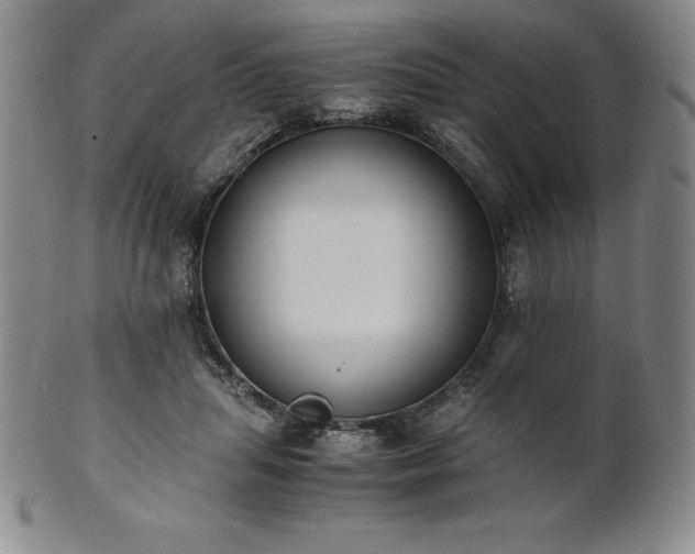 X0000101680455200807171416