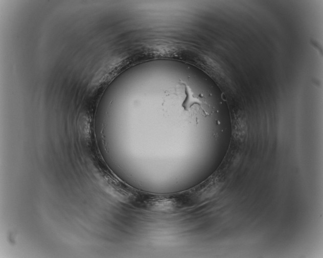 X0000101680456200807171416