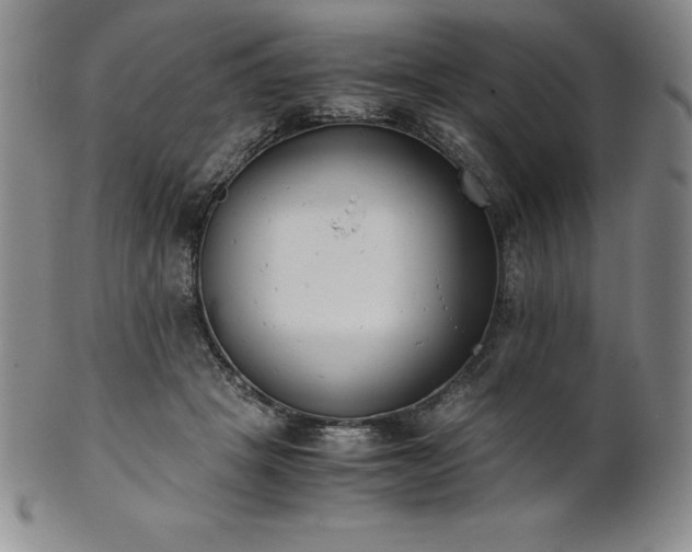 X0000101680457200807171416