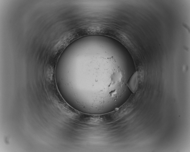 X0000101680458200807171416