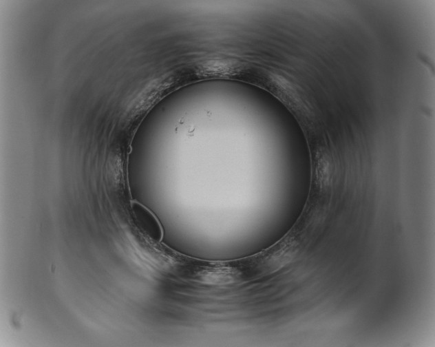 X0000101680459200807171416