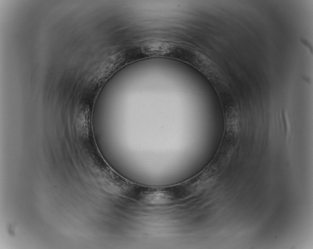 X0000101680460200807171416