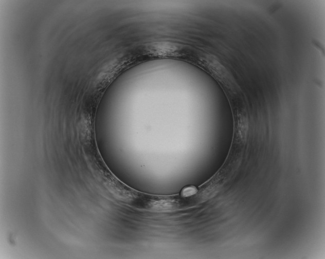 X0000101680461200807171416