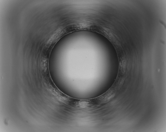 X0000101680462200807171416