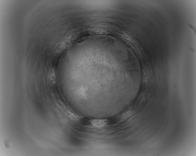 X0000101680465200807171416