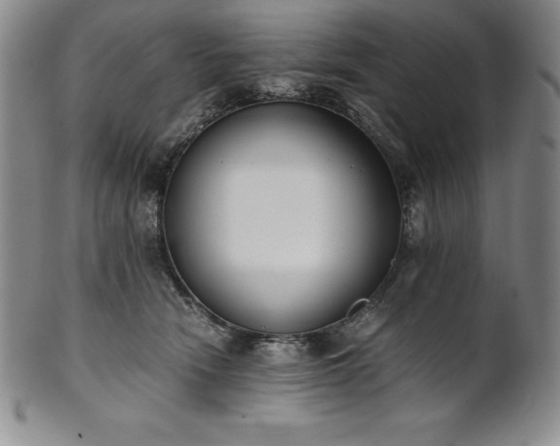 X0000101680466200807171416