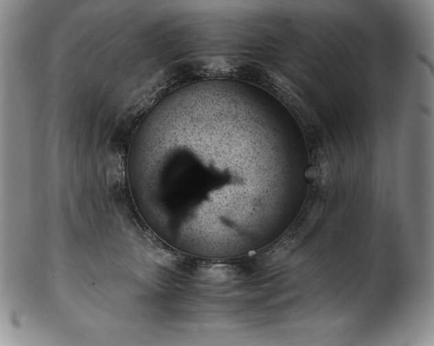 X0000101680467200807171416