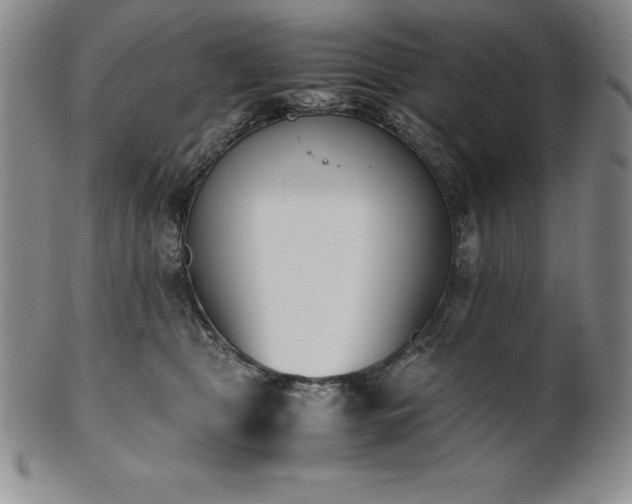 X0000101680469200807171416