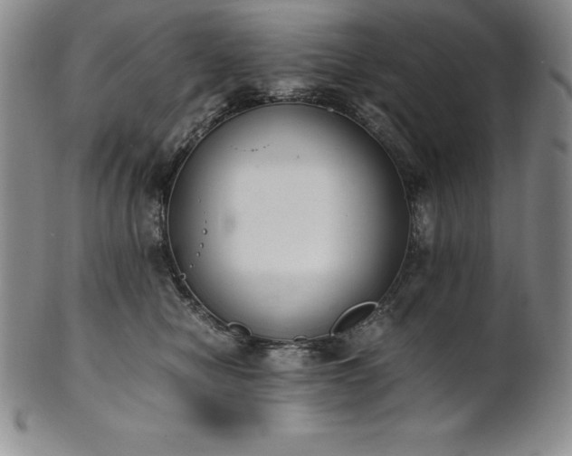 X0000101680470200807171416