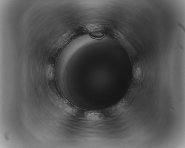 X0000101680471200807171416