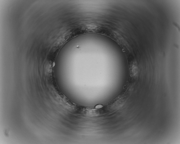 X0000101680472200807171416