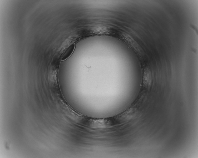 X0000101680473200807171416