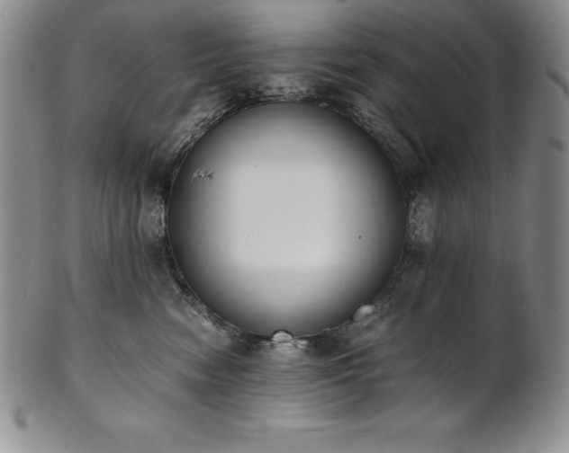 X0000101680474200807171416