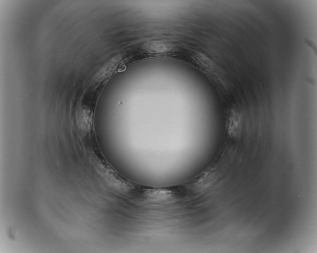 X0000101680476200807171416