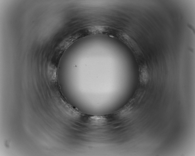 X0000101680477200807171416