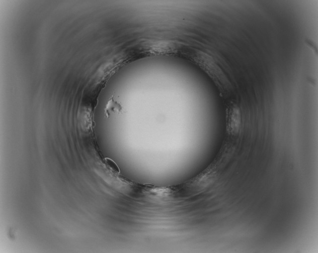 X0000101680478200807171416