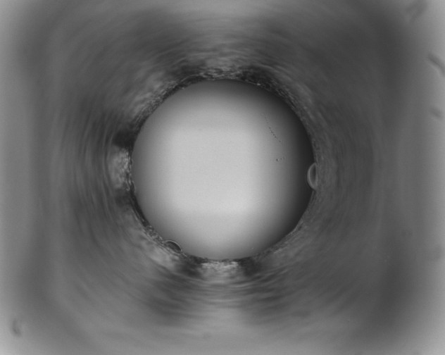 X0000101680480200807171416