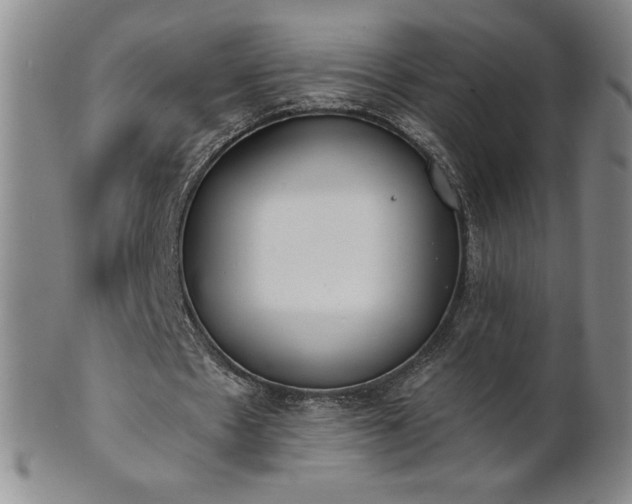 X0000101680481200807171415