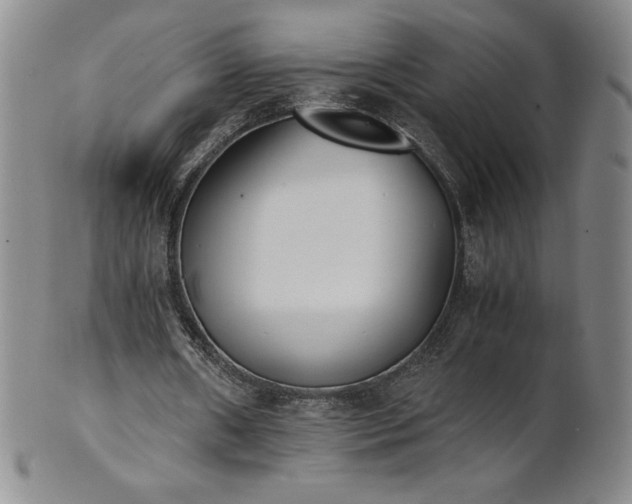 X0000101680482200807171415