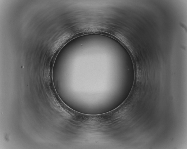 X0000101680485200807171415