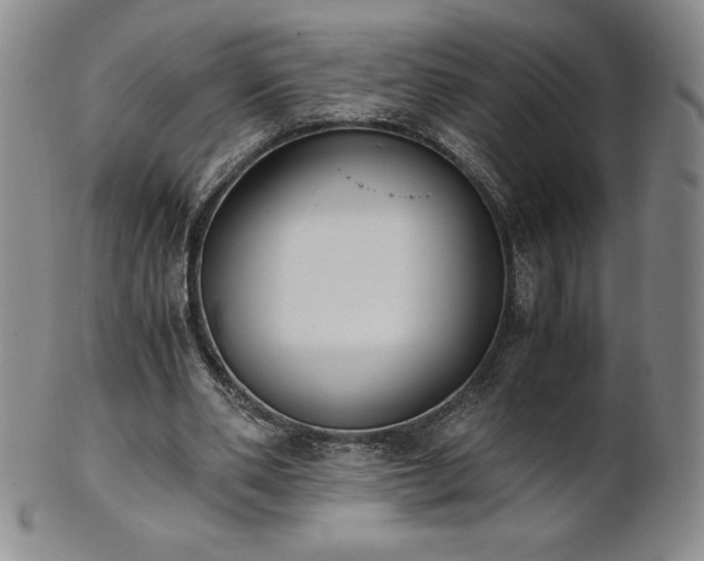 X0000101680486200807171415