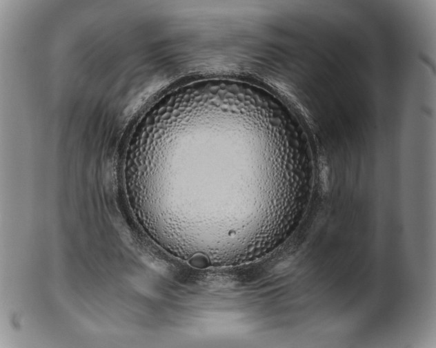 X0000101680487200807171415