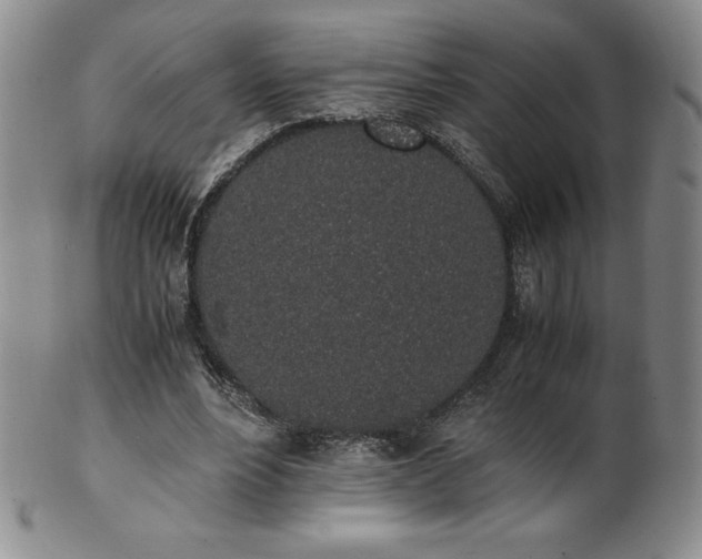 X0000101680488200807171415