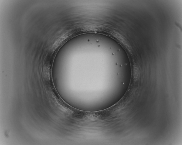 X0000101680489200807171415