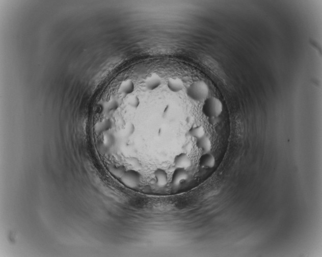 X0000101680491200807171415