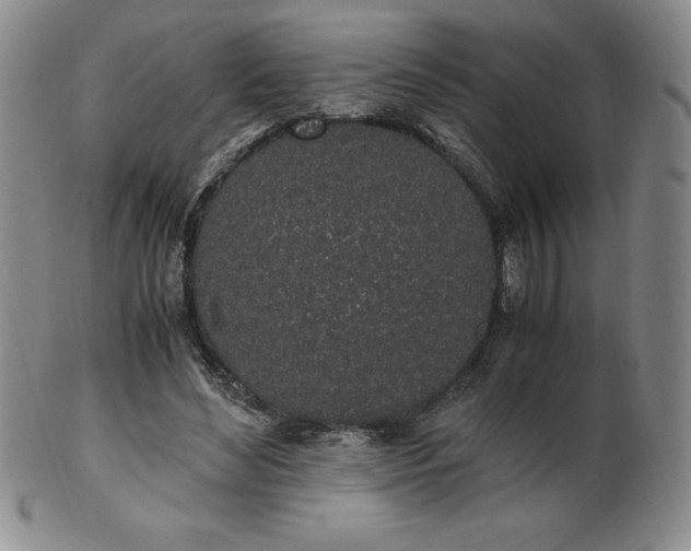 X0000101680492200807171415