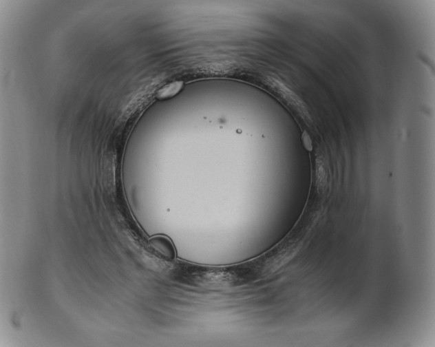 X0000101680493200807171415