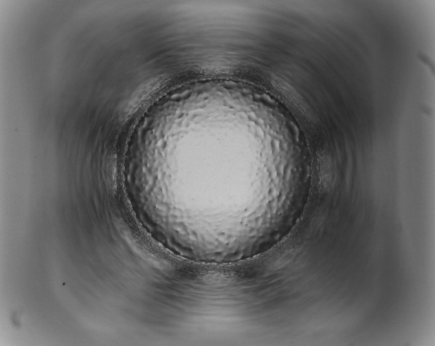 X0000101680494200807171415