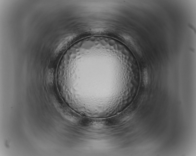 X0000101680495200807171415