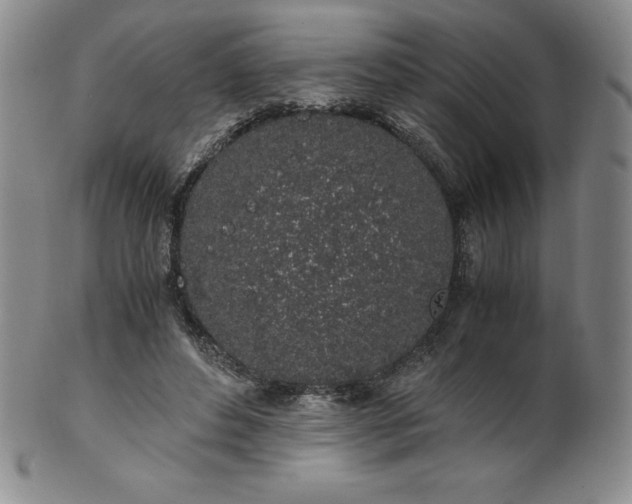 X0000101680496200807171415