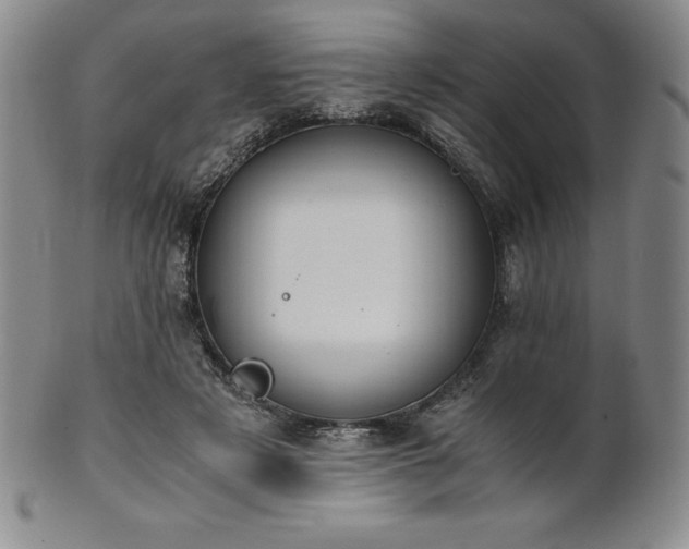 X0000101680497200807171415