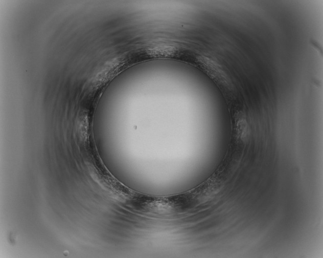 X0000101680498200807171415