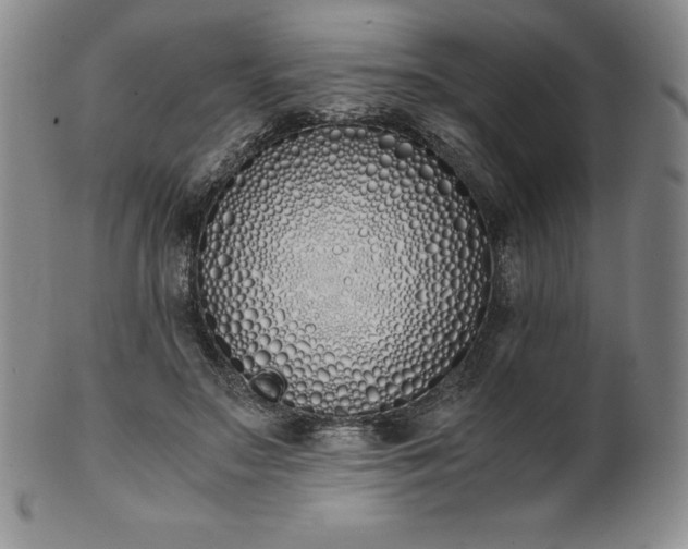 X0000101680499200807171415