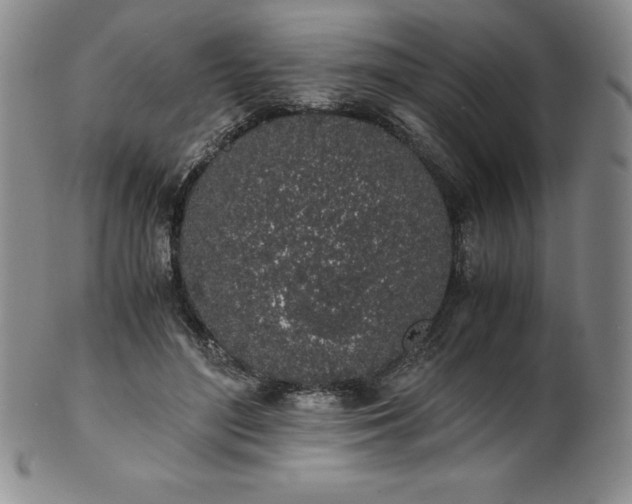 X0000101680500200807171415