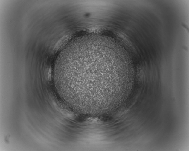 X0000101680502200807171415