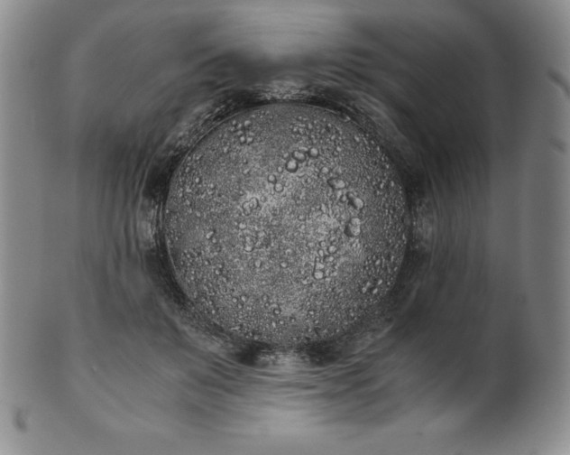 X0000101680503200807171415