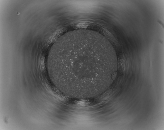 X0000101680504200807171415