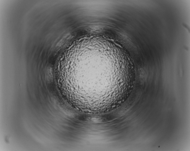 X0000101680506200807171415