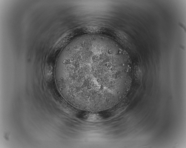 X0000101680507200807171415