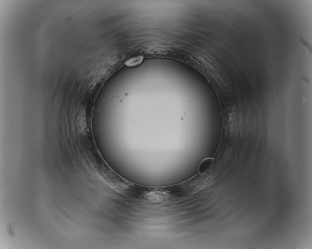 X0000101680508200807171415