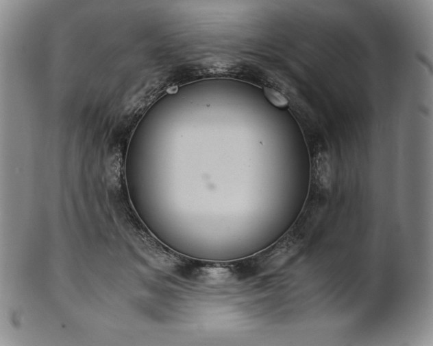 X0000101680509200807171415