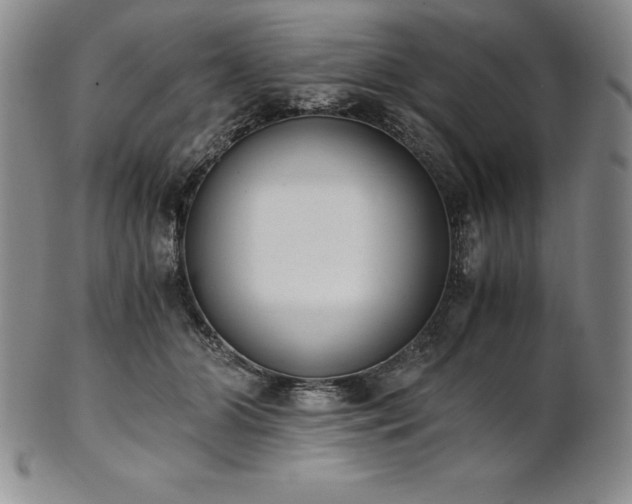 X0000101680510200807171415