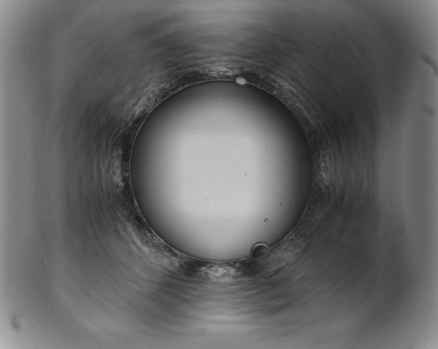 X0000101680512200807171415