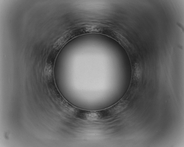 X0000101680513200807171415