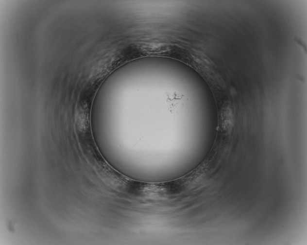 X0000101680515200807171415