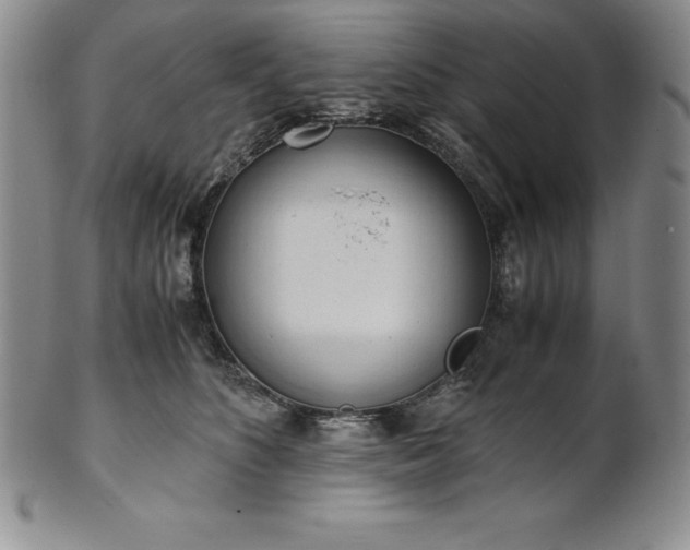 X0000101680516200807171415